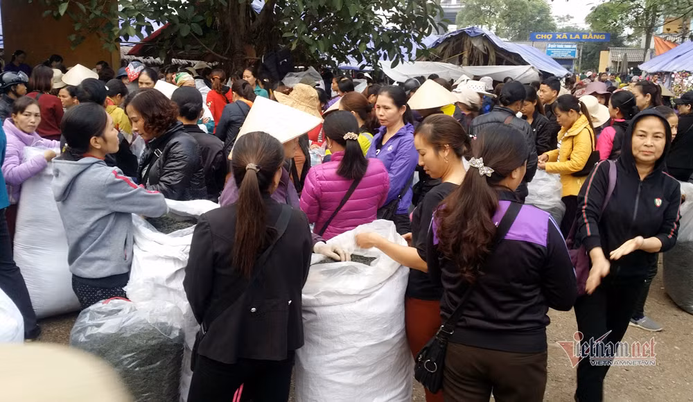 Nghe nhan tra Thai tiet lo bi kip de chon mot am tra ngon