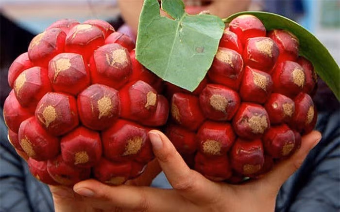 Xuat hien qua na sieu to, vo co vien do khien nhieu nguoi tranh cai-Hinh-3