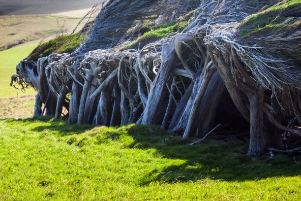 Những loài cây "độc lạ" mà bạn không thể tin chúng tồn tại trên Trái đất - Hình 15 Nhung loai cay