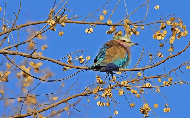 Cuoi thang 7/2021, 4 con giap tien tai, su nghiep deu khoi sac-Hinh-4