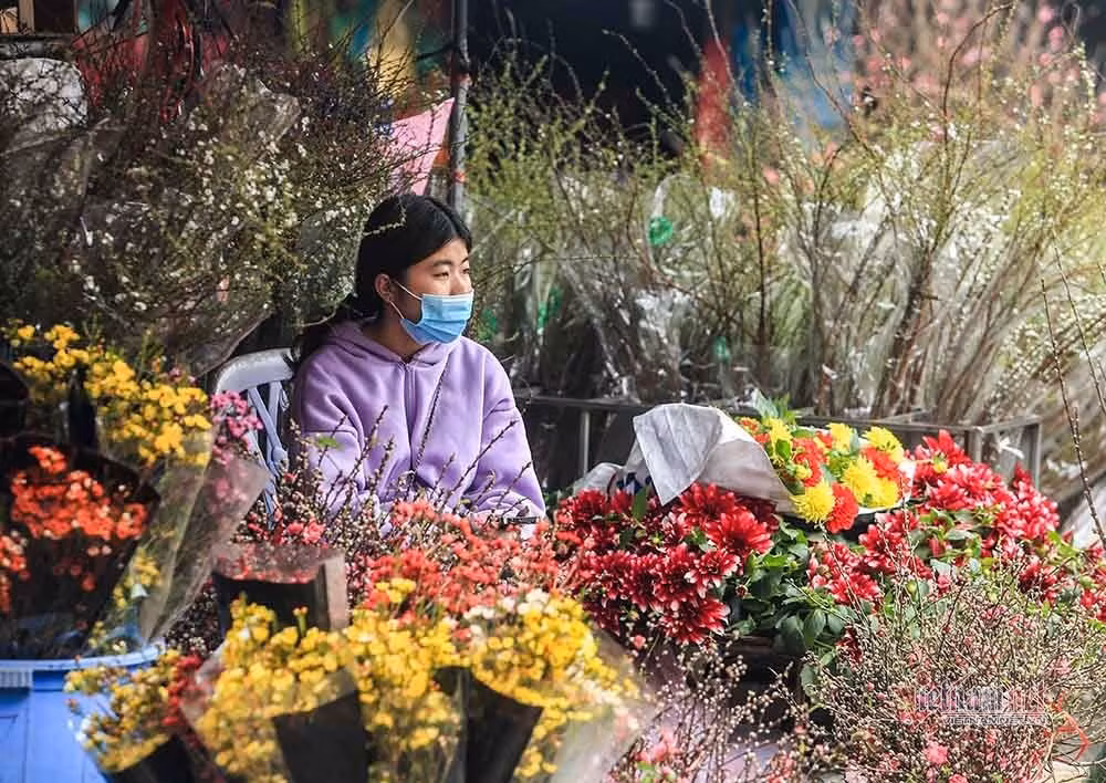 Lang hoa Ha Noi dang ngoi tren dong lua vi dich COVID-19-Hinh-15