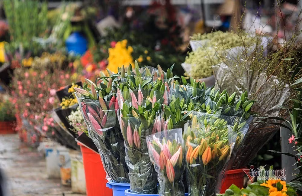 Lang hoa Ha Noi dang ngoi tren dong lua vi dich COVID-19-Hinh-14