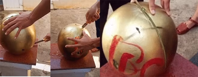 Mang buoi, dua hau Tai - Loc trung Tet ra bo thu va cai ket-Hinh-5