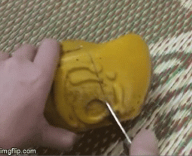 Mang buoi, dua hau Tai - Loc trung Tet ra bo thu va cai ket-Hinh-3