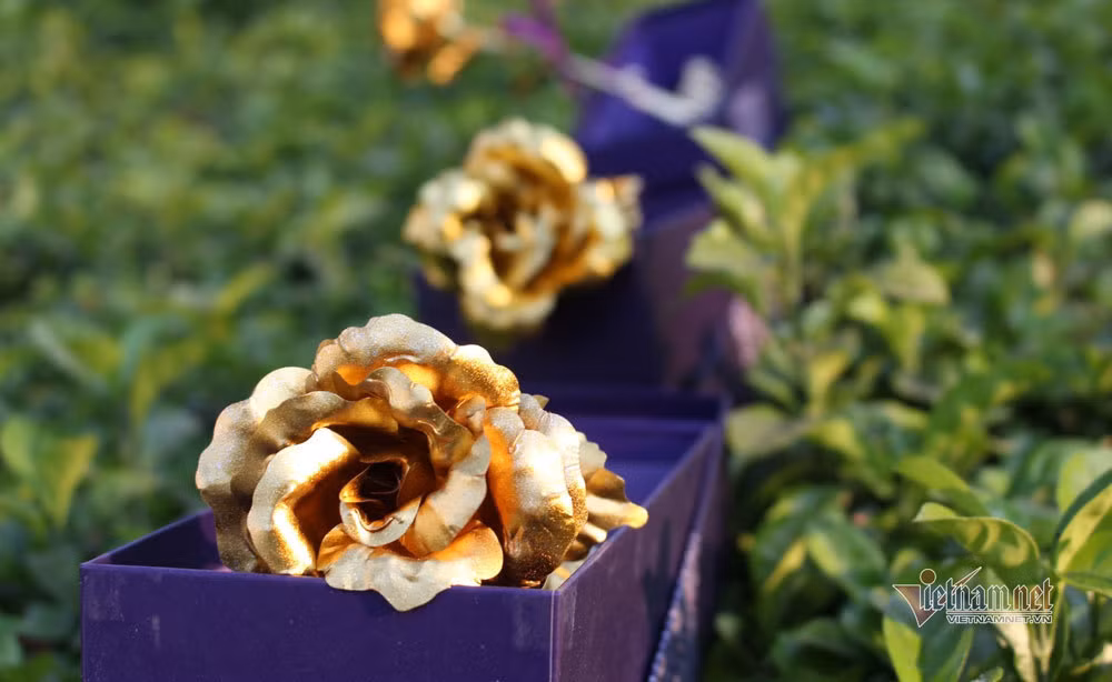 Hai kieu dan ong phu nu dung bao gio lay lam chong