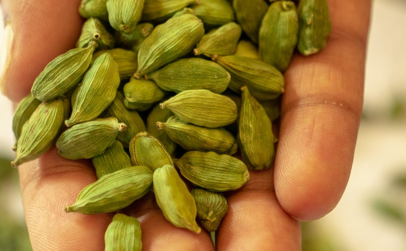 Loại gia vị, ăn cay xé miệng, giá đắt bậc nhất thế giới ảnh 1 Loại gia vị, ăn cay xé miệng, giá đắt bậc nhất thế giới ảnh 1