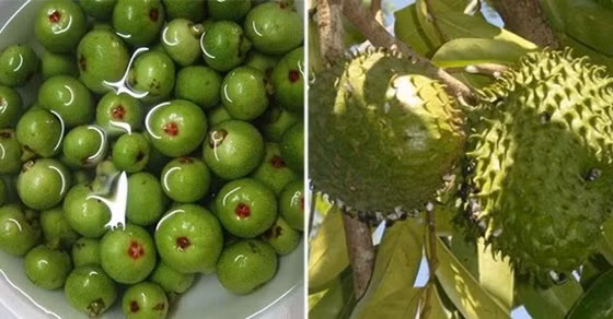 5 loai qua la khac tinh cua ung thu, ngoai cho ban day