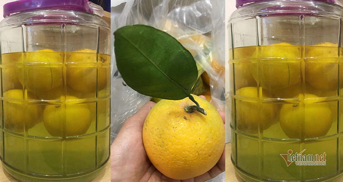 Săn cam tiến vua ngâm rượu Tết, 130 nghìn đồng một quả chưa bán ảnh 5