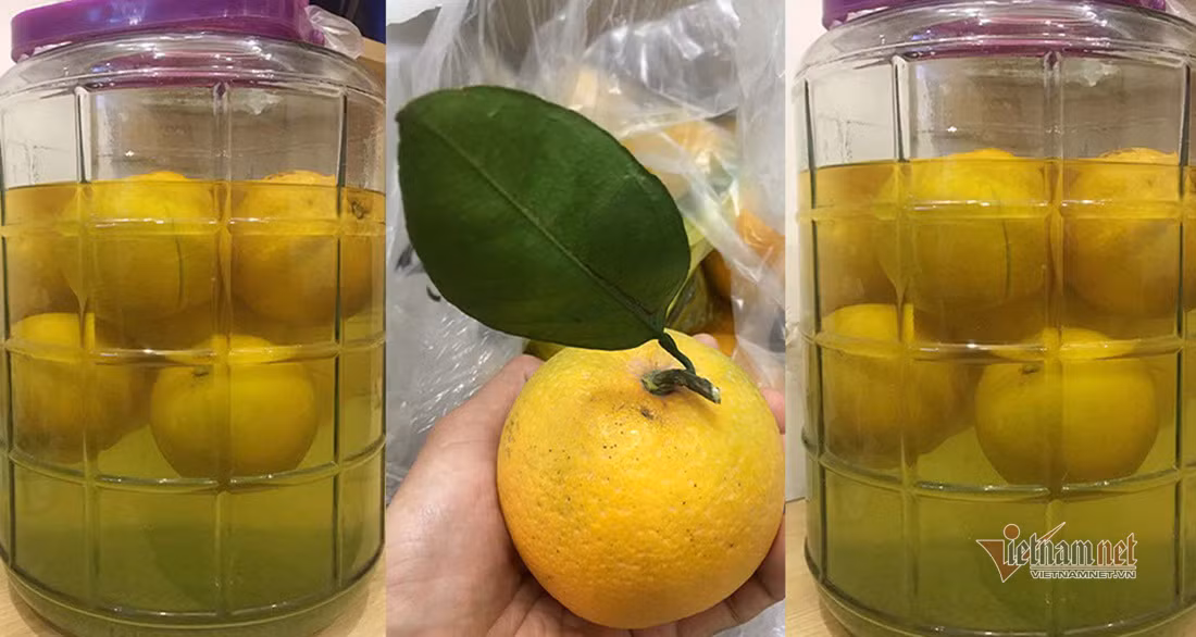 Săn cam tiến vua ngâm rượu Tết, 130 nghìn đồng một quả chưa bán ảnh 5