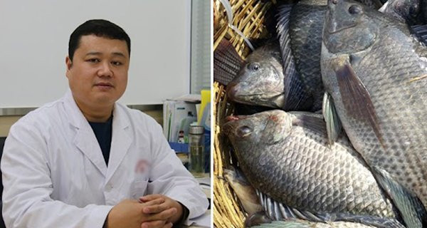 9 loai ca re may cung dung bao gio mua cho chong con an-Hinh-2