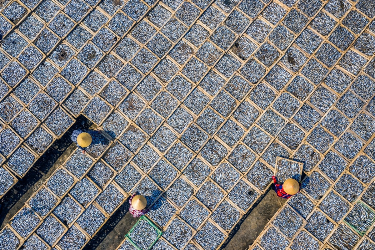 Vẻ đẹp lao động của người Việt Nam giành giải nhất cuộc thi ảnh quốc tế ảnh 7