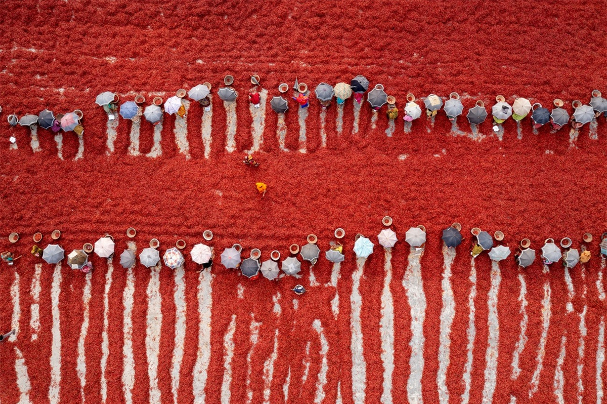 Vẻ đẹp lao động của người Việt Nam giành giải nhất cuộc thi ảnh quốc tế ảnh 14