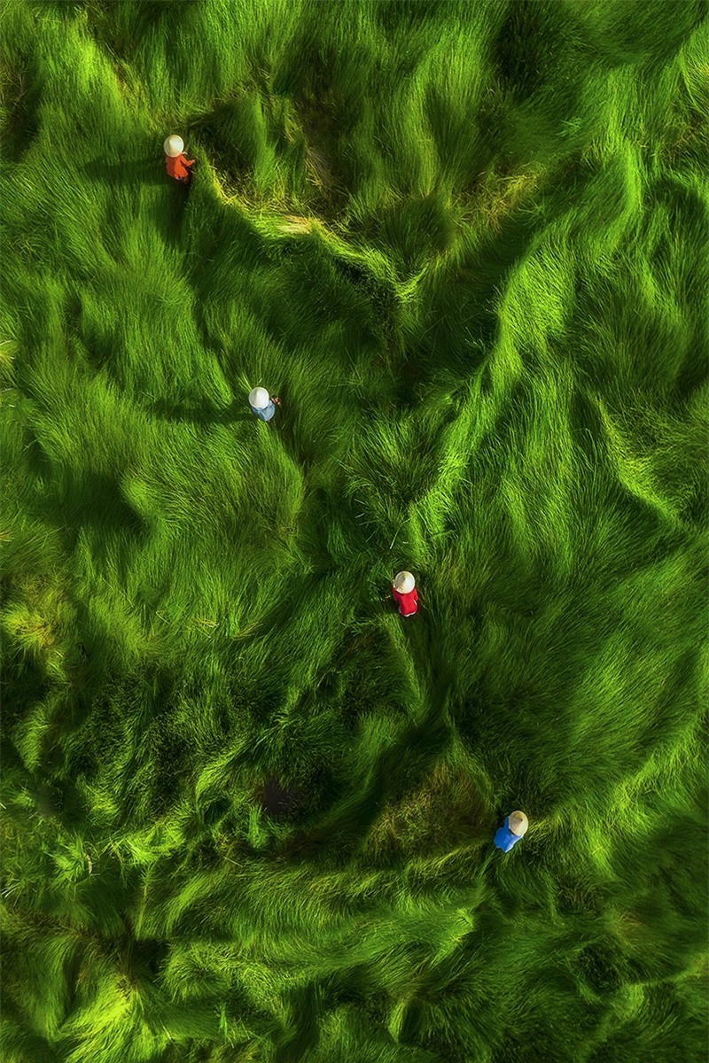 Vẻ đẹp lao động của người Việt Nam giành giải nhất cuộc thi ảnh quốc tế ảnh 9