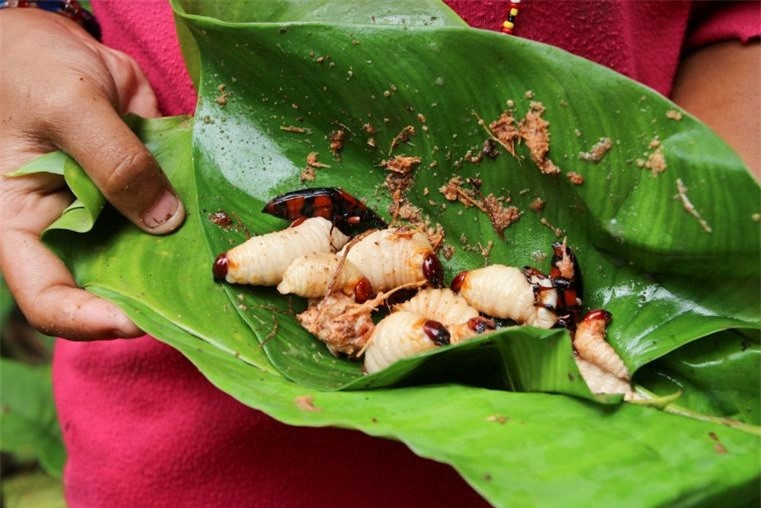 10 món ăn châu Á khiến thế giới phải rùng mình ảnh 12