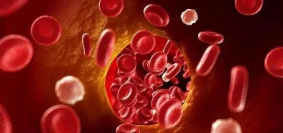 An huyet lon thuong xuyen co tot cho co the khong?-Hinh-5