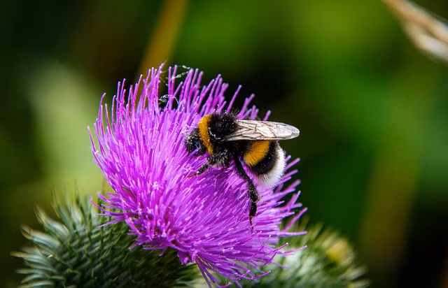 Sinh vao ngay Am lich nay, du kho khan den dau cung nen kien tri-Hinh-3