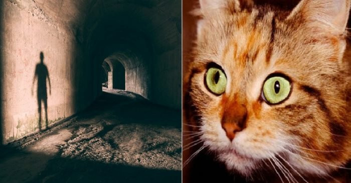 9 bieu hien bat thuong cho thay nha ban co ta khi