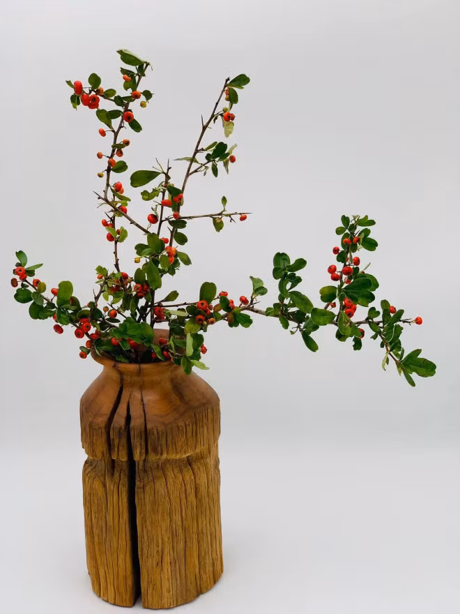 Ro con sot cam cherry rung, hang ve den dau het den do-Hinh-17