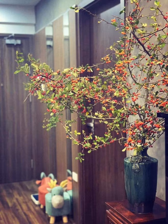 Ro con sot cam cherry rung, hang ve den dau het den do-Hinh-9