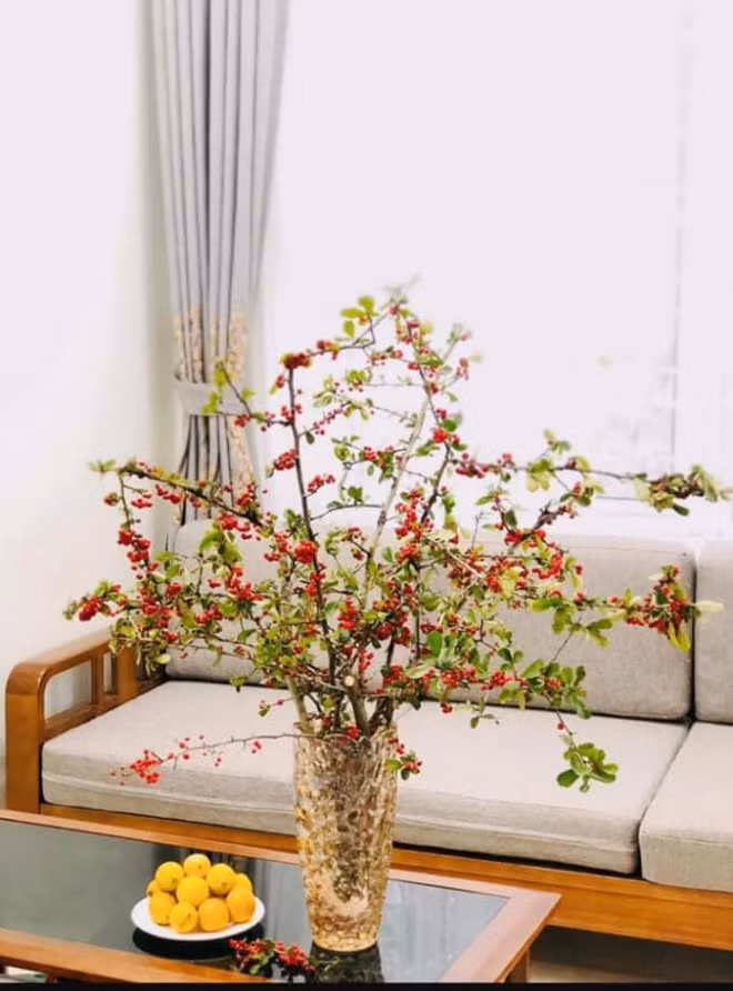 Ro con sot cam cherry rung, hang ve den dau het den do-Hinh-8