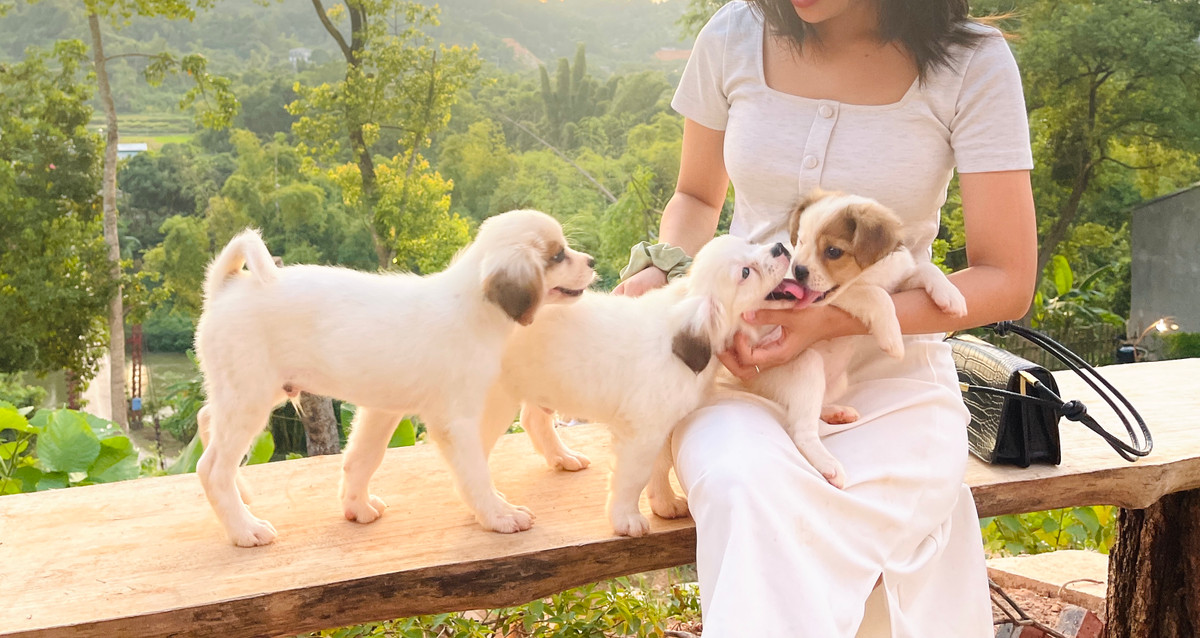 Co gai ve que dung ngoi nha go cheo leo ben suon nui dep me hon-Hinh-11