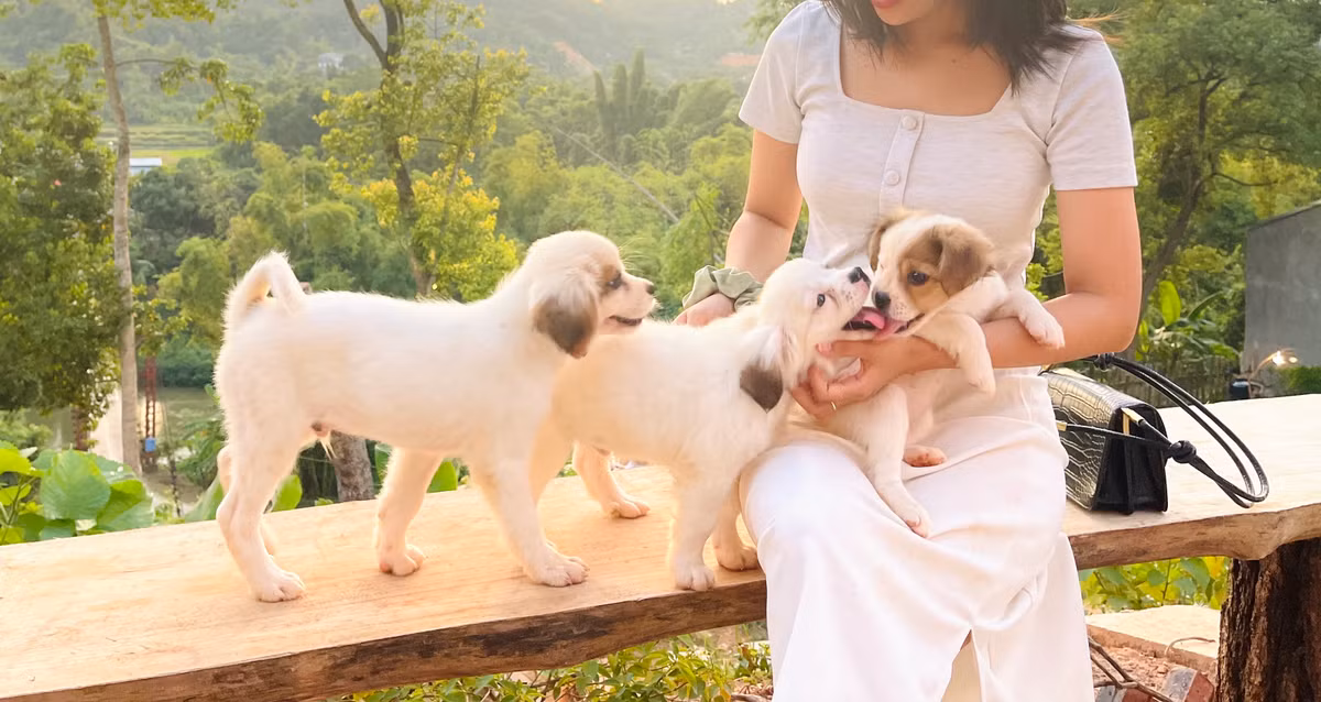 Co gai ve que dung ngoi nha go cheo leo ben suon nui dep me hon-Hinh-11