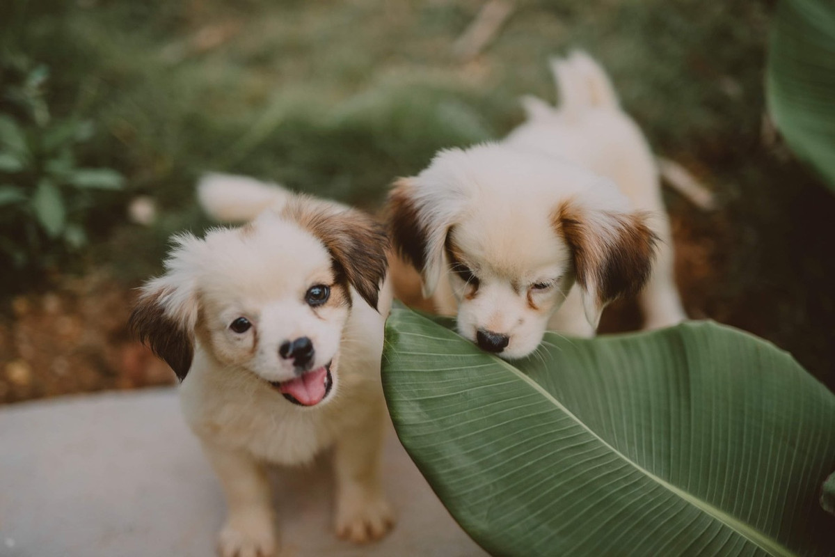 Co gai ve que dung ngoi nha go cheo leo ben suon nui dep me hon-Hinh-12