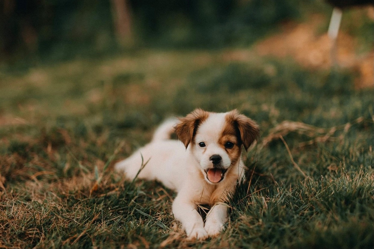 Co gai ve que dung ngoi nha go cheo leo ben suon nui dep me hon-Hinh-13