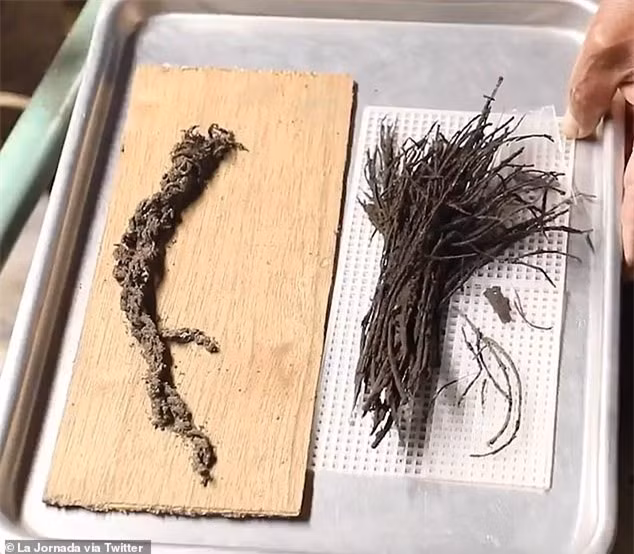 Xuong duong ham sau 18m cua kim tu thap Teotihuacan, tim thay 4 vat ky la