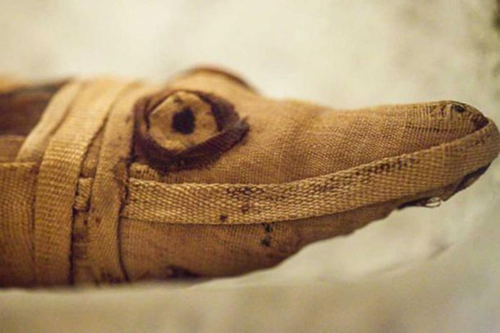 Xac ca sau cut dau bi an trong ngoi mo co 3.400 nam tuoi