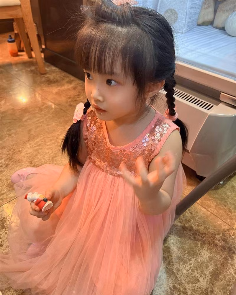 Diep Lam Anh khoe can visual con gai, giong bo nhu lot-Hinh-10