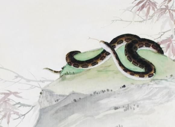 Tuổi Tỵ. Đa số những người tuổi Tỵ đều xuất thân trong một gia đình có hoàn cảnh bình thường, thậm chí là khó khăn. Chính hoàn cảnh ấy đã tôi luyện những người tuổi Tỵ chăm chỉ, chịu thương chịu khó, siêng năng hơn người.