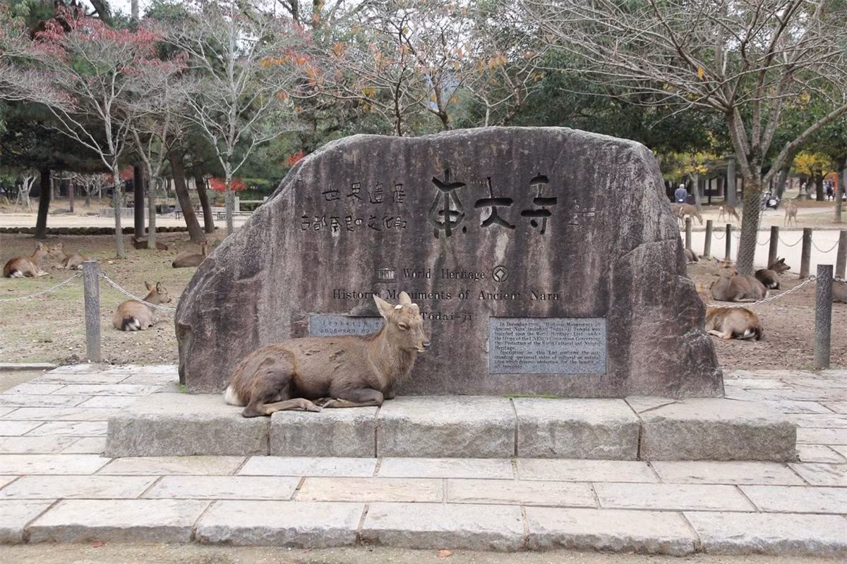 Hươu, nai sống trong công viên Nara vốn được coi trọng từ thời cổ đại dưới danh nghĩa là các sứ giả của đền Kasuga-taisha. Ngày nay, chúng không còn được tôn thờ như trước nữa, nhưng đối với người dân thành phố Nara, nai vẫn được yêu quý, trân trọng và bảo vệ.