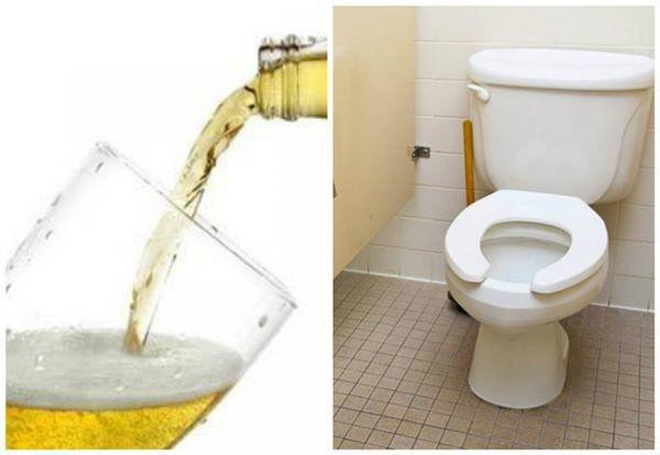  Làm sáng bồn cầu, nhà vệ sinh: Khi bồn cầu hoặc nền nhà vệ sinh bị ố vàng theo thời gian, bạn có thể đổ bia vào bồn cầu hoặc nền nhà vệ sinh rồi sau đó ngâm chừng 30 phút, rồi sau đó dùng bàn chải cọ thật sạch bồn cầu và nhà vệ sinh. Bạn sẽ thấy nhà vệ sinh của mình sáng bóng như mới.