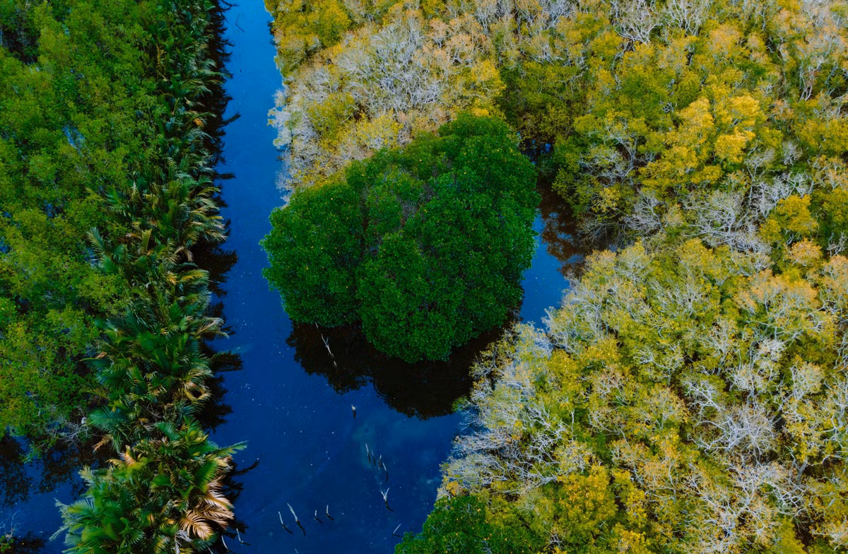 Canh sac Hue chuyen vang ngay vao thu khien long nguoi thon thuc-Hinh-2
