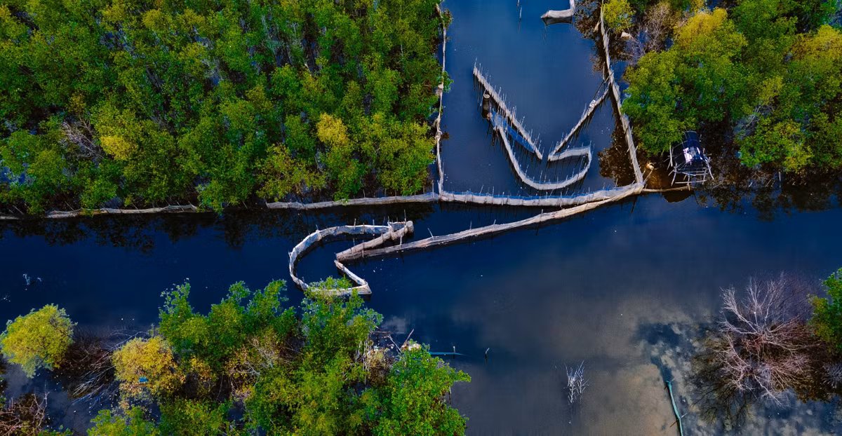 Canh sac Hue chuyen vang ngay vao thu khien long nguoi thon thuc-Hinh-5