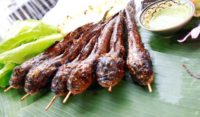 O vung nay co loai ca duoc xep vao loai nhung dac san ky la nhat-Hinh-6