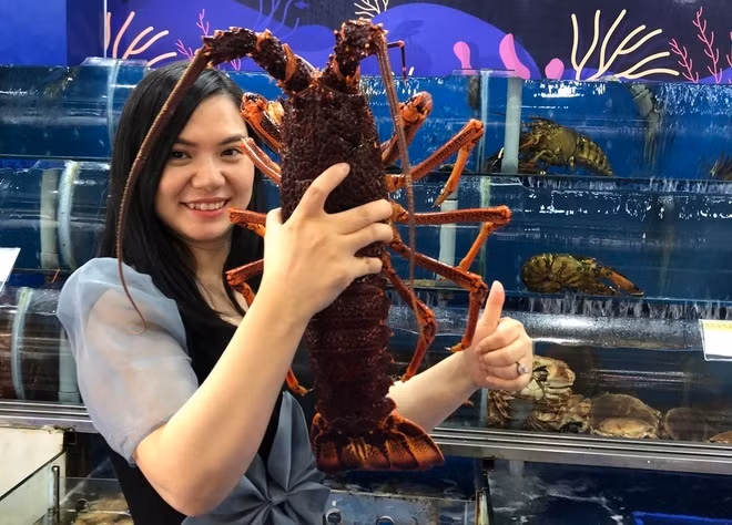 Tom hum nhap khau co gia 10 trieu dong mot con