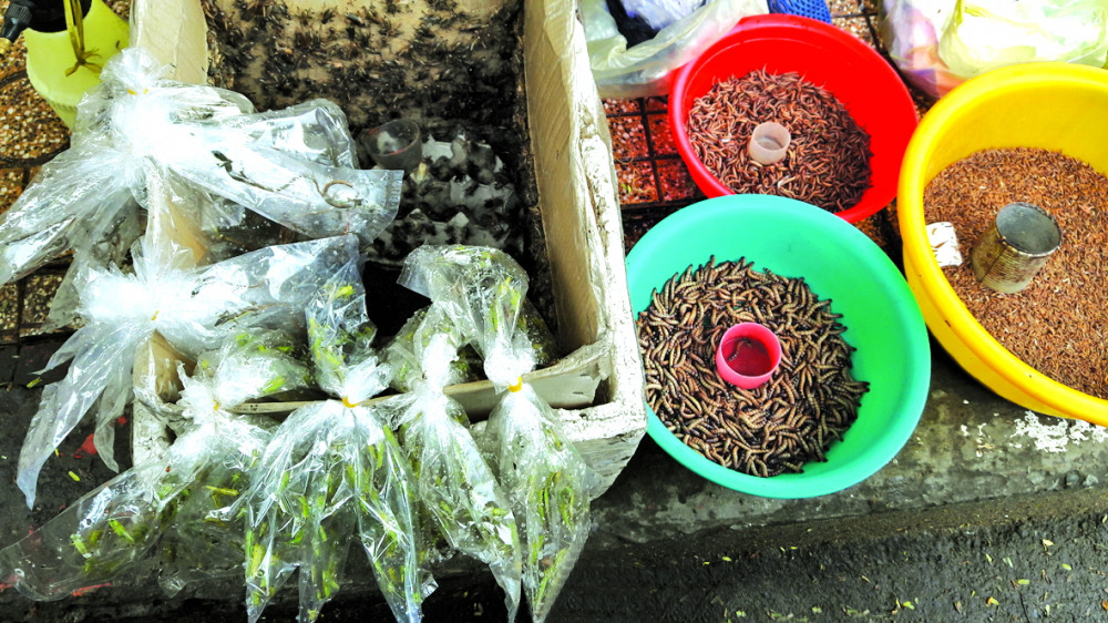 Cho sau bo doc la giua Sai Gon-Hinh-2