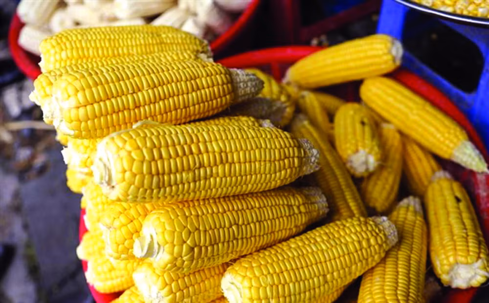 Cho sau bo doc la giua Sai Gon-Hinh-5