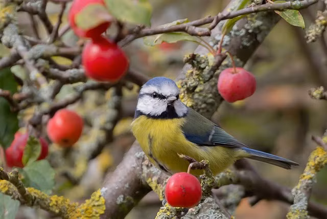 Dung 10 ngay toi: Bon con giap xuat tran thanh cong, kiem tien cuc de-Hinh-4