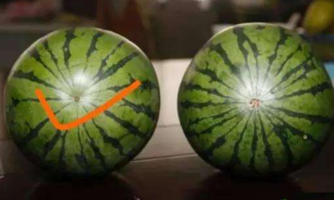 Sung sot voi thu ben trong qua dua khung nang 10kg-Hinh-3