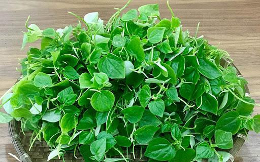 Loai rau mot thoi duoc trong de cuu doi gio ra Ha Noi thanh dac san-Hinh-2