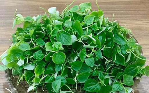 Loai rau mot thoi duoc trong de cuu doi gio ra Ha Noi thanh dac san-Hinh-2