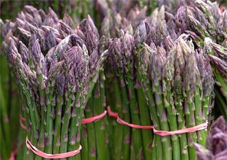 Thu rau hoang de ho tro tuyet voi cho chuyen phong the-Hinh-3