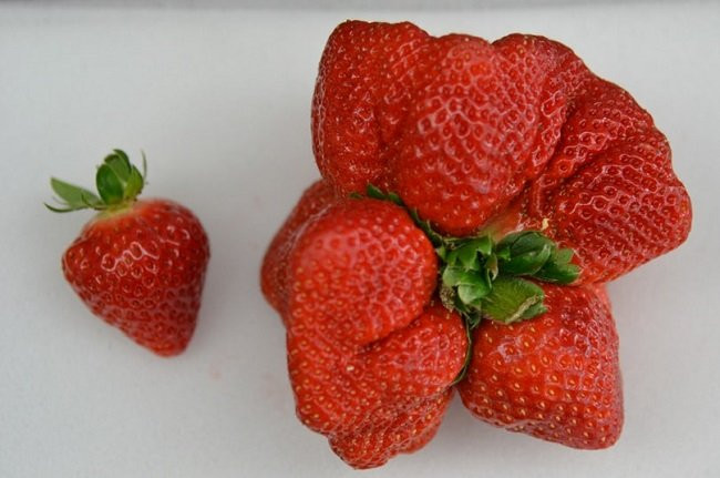 Mua dau tay hay tranh ngay 5 loai nay