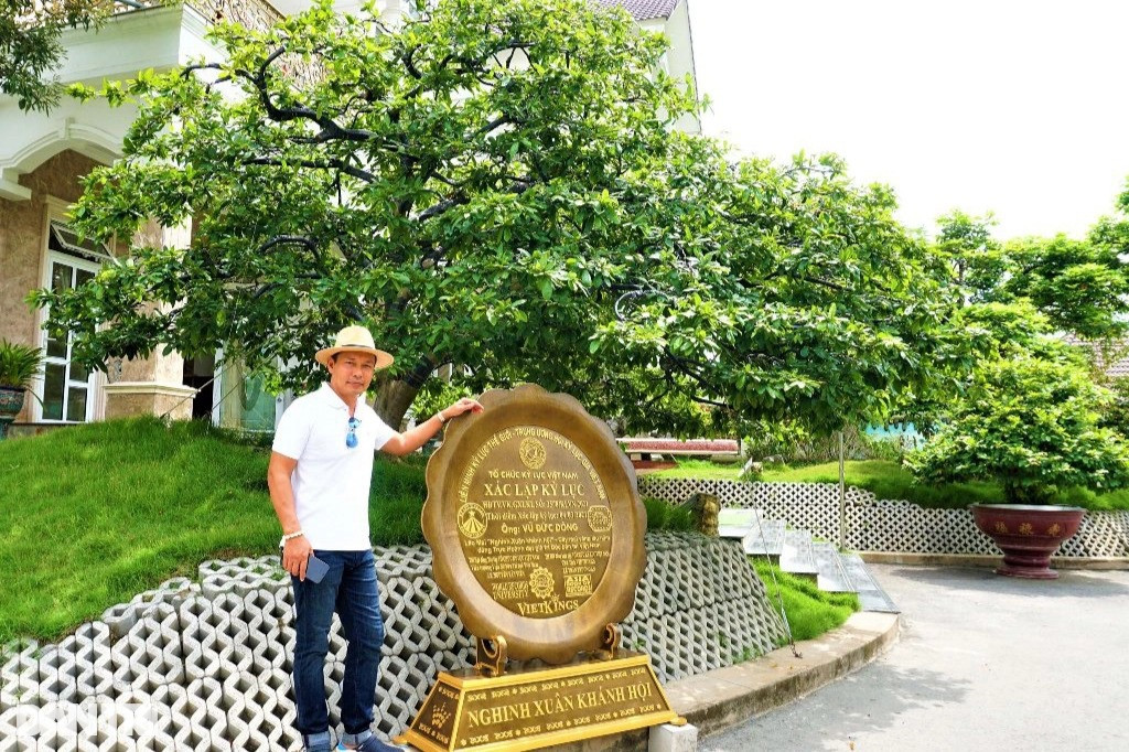 Chiêm ngưỡng "lão mai" dát 9 chỉ vàng lập kỷ lục của đại gia Đồng Tháp - Hình 5 Chiem nguong