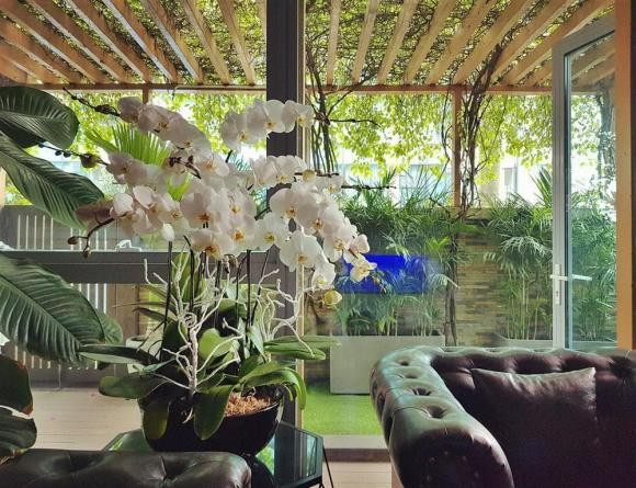 Nathan Lee tuyen bo se ban dau gia toan bo do dac trong nha-Hinh-9