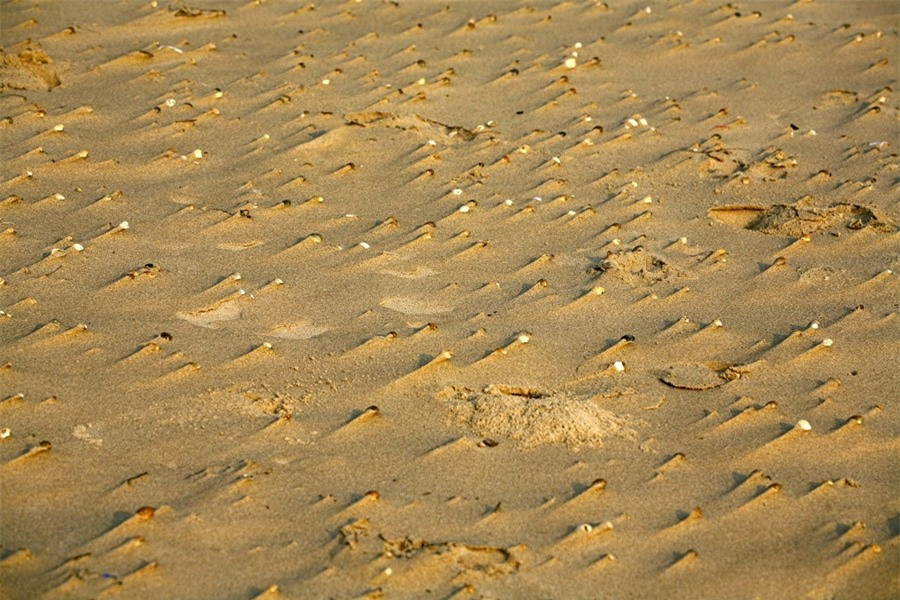 Khi con sóng rút đi, biển để lại những dấu vết tuyệt đẹp trên bờ cát.