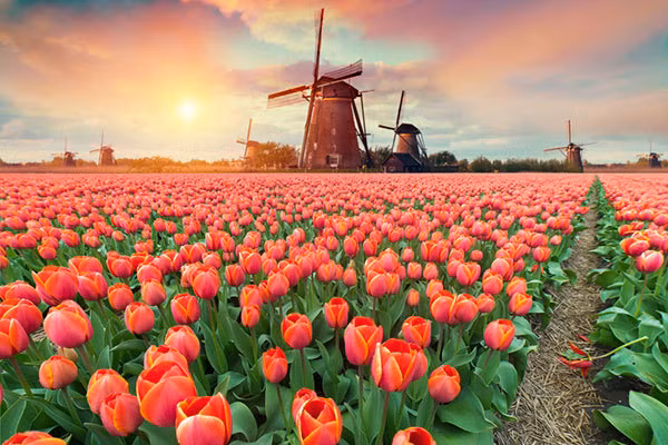 Bi mat hoi chung kinh te dang sau nhung giao dich lan dot bien-Hinh-3